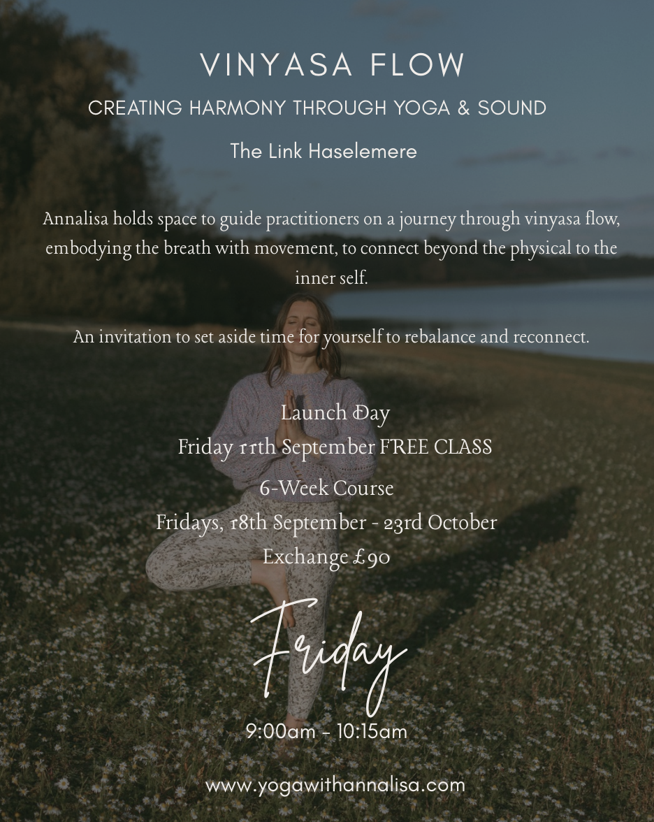 The Link Vinyasa Flow