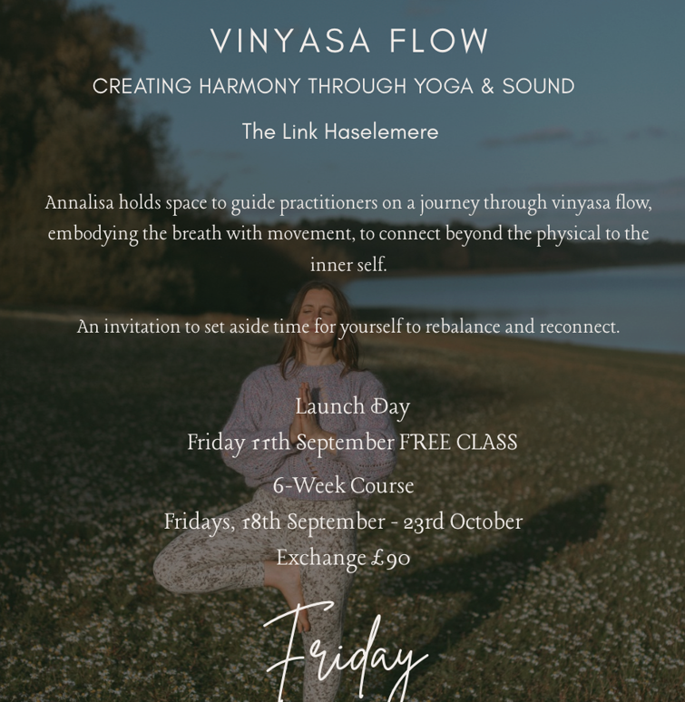 The Link Vinyasa Flow